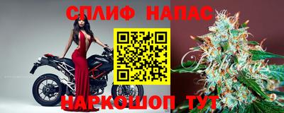 a pvp Камень-на-Оби
