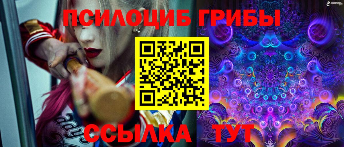 Ахтубинск  цены наркотик  Вход с VPN  Псилоцибиновые грибы мицелий 