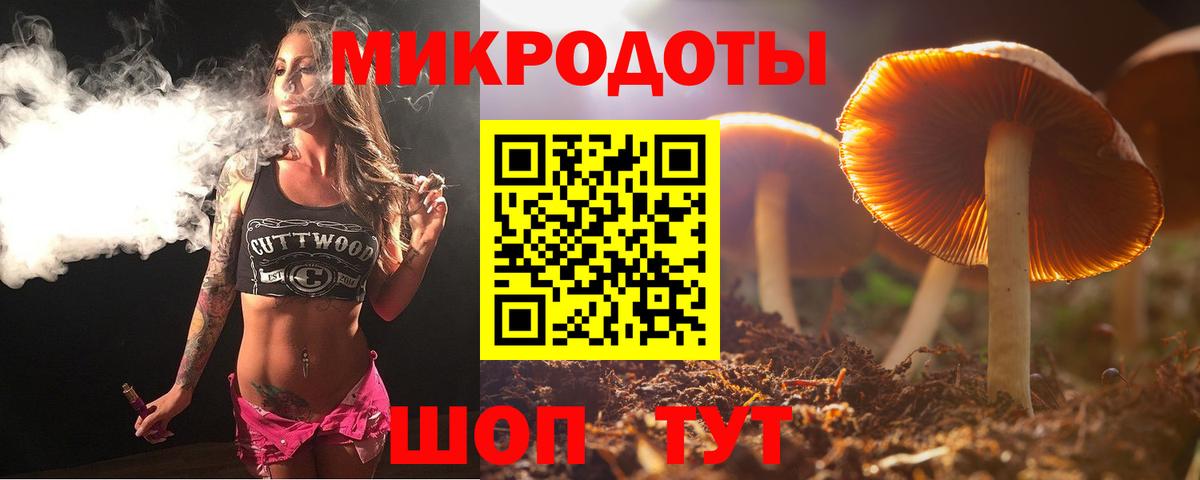 Галлюциногенные грибы MAGIC MUSHROOMS Ахтубинск